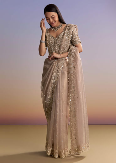 Brown Tissue Embroidered Saree With Resham And Sequin Work