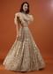 Champagne Gold Angelic Net Gown With Mirror Work And Ruffle Sleeves - NOOR 2022
