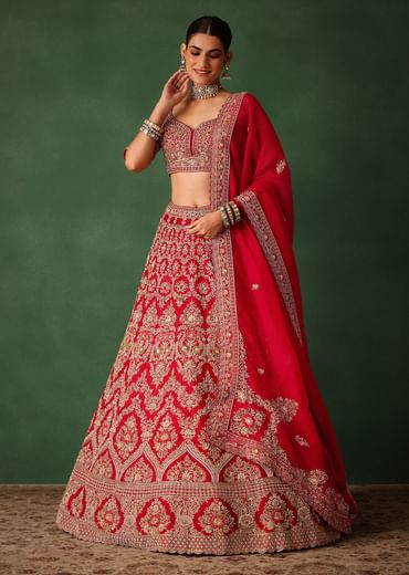 Cherry Red Hand Embroidered Raw Silk Lehenga Set With Net Dupatta