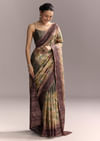 Coffee Brown Cotton Hand Painted Saree With Contrast Border