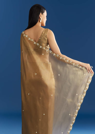 Copper Brown Organza Tissue Saree With Beaded Border