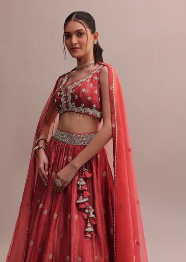 Crimson Red Zardosi Embroidered Choli Lehenga Set With A Net Dupatta