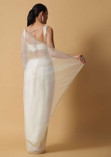Daisy White Organza Saree In With Cut Dana Embroidered Borders