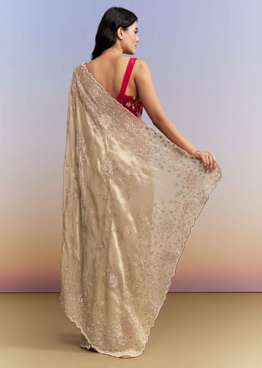 Gold Tissue Saree With Heavy Hand Embroidery