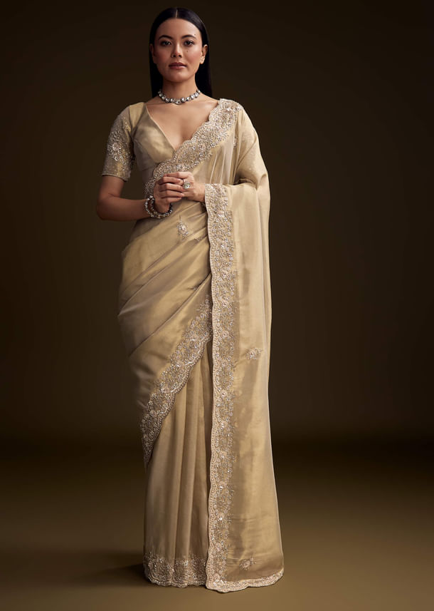 Gold Tissue Saree With Stone And Bead Embroidery