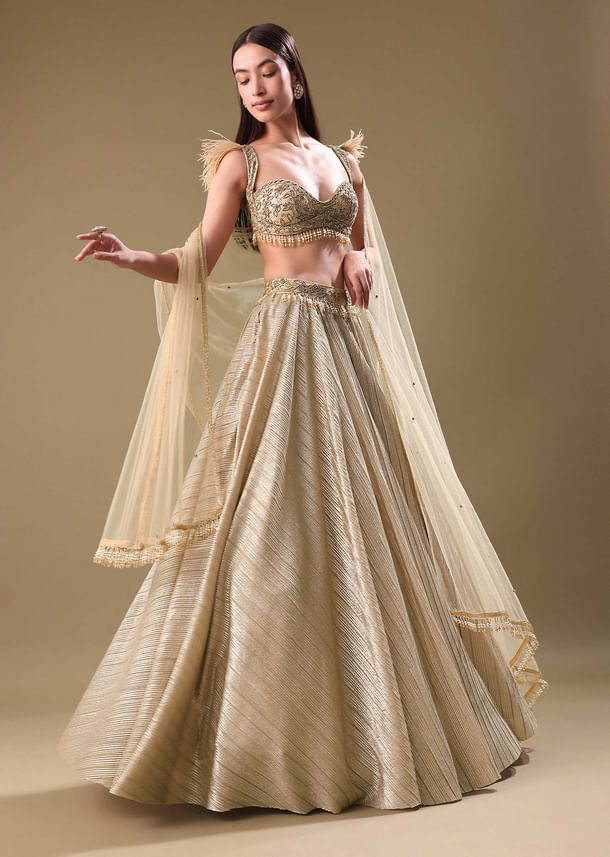 Gold Pre Pleated Lehenga With Embellished Blouse And Net Dupatta Gold Pre Pleated Lehenga With Embellished Blouse And Net Dupatta