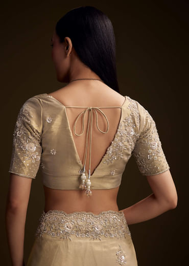 Gold Tissue Saree With Stone And Bead Embroidery