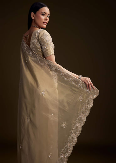 Gold Tissue Saree With Stone And Bead Embroidery