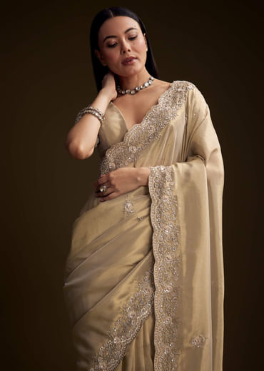Gold Tissue Saree With Stone And Bead Embroidery