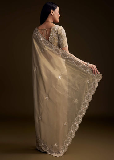 Gold Tissue Saree With Stone And Bead Embroidery