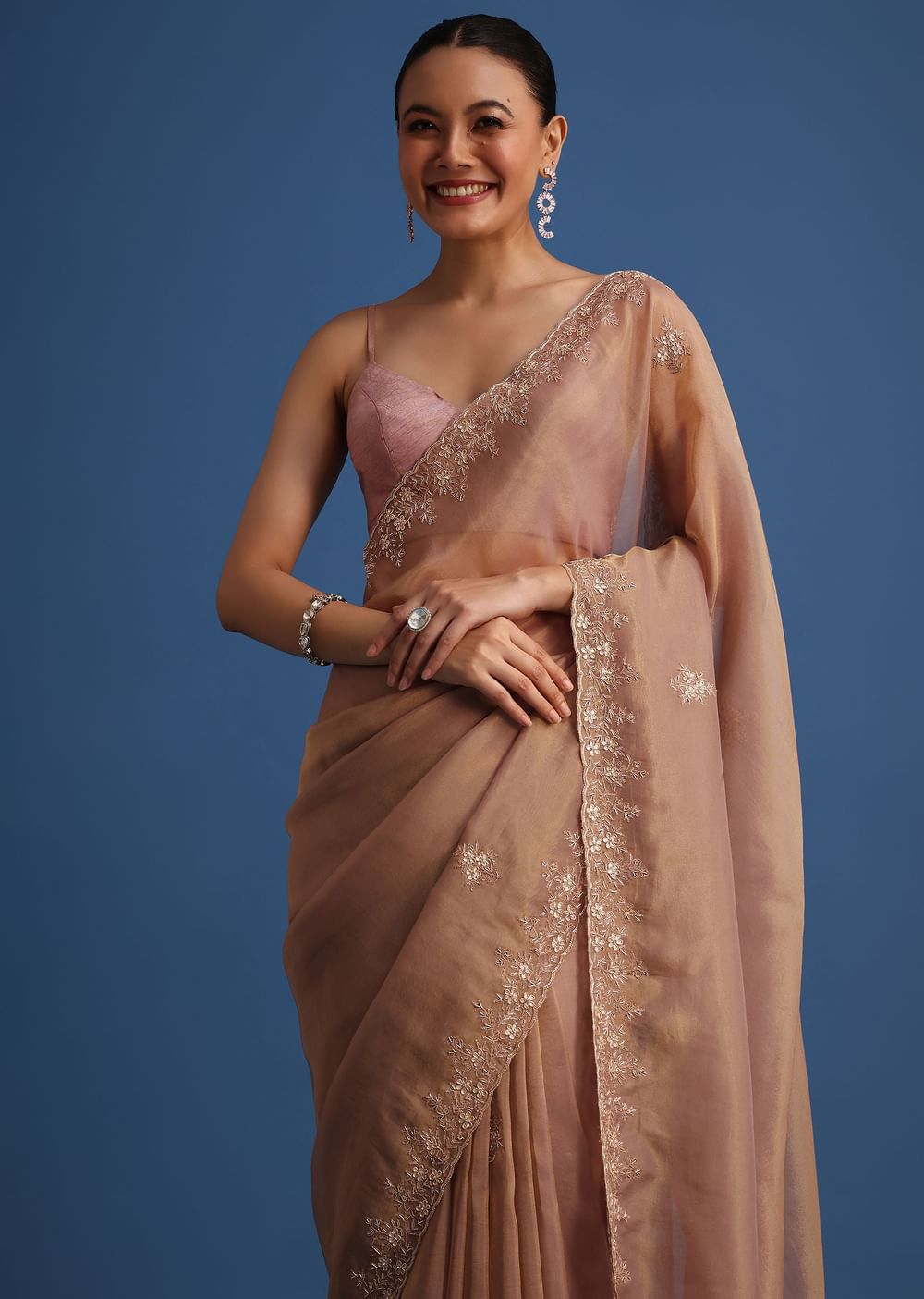 Dusty Beige Saree With Stones And Cutdana Embroidered Border