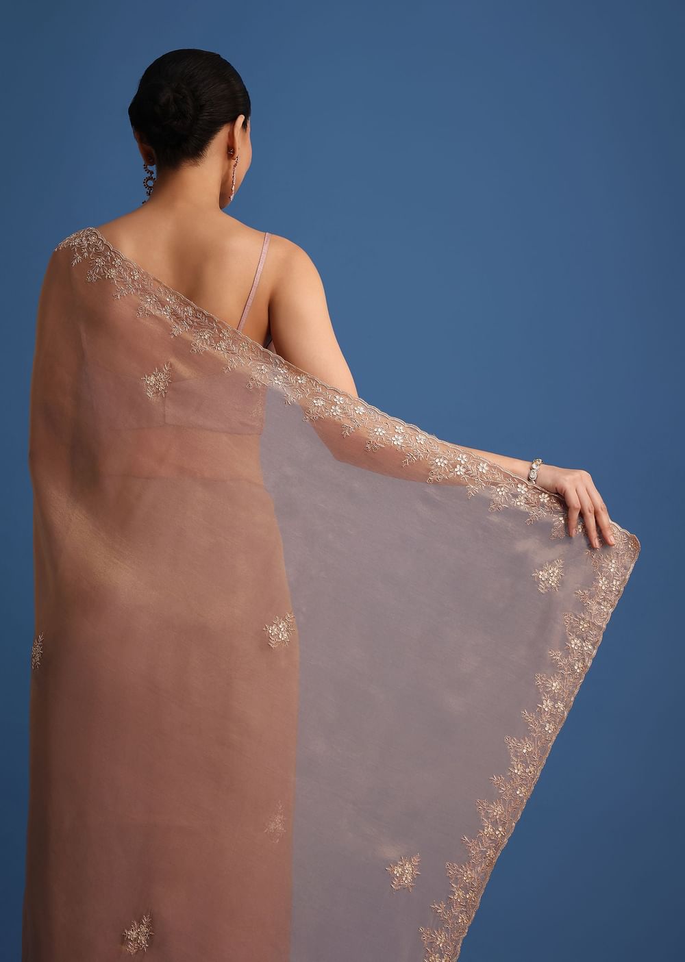 Dusty Beige Saree With Stones And Cutdana Embroidered Border