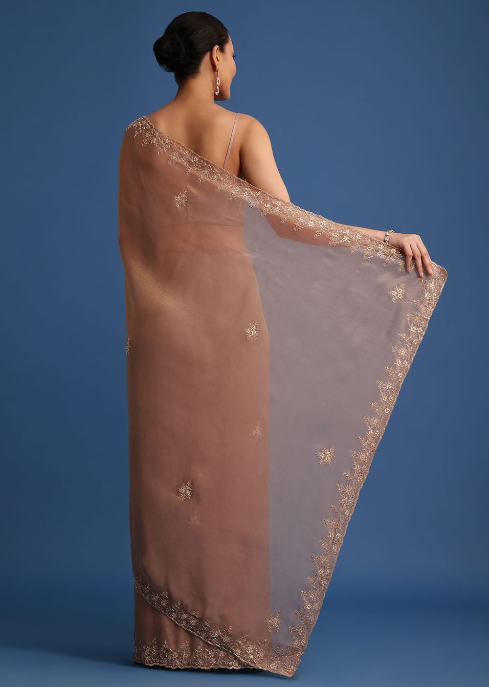 Dusty Beige Saree With Stones And Cutdana Embroidered Border