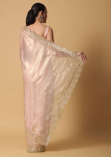 Peach Tissue Saree With Cut Dana Embroidered Borders