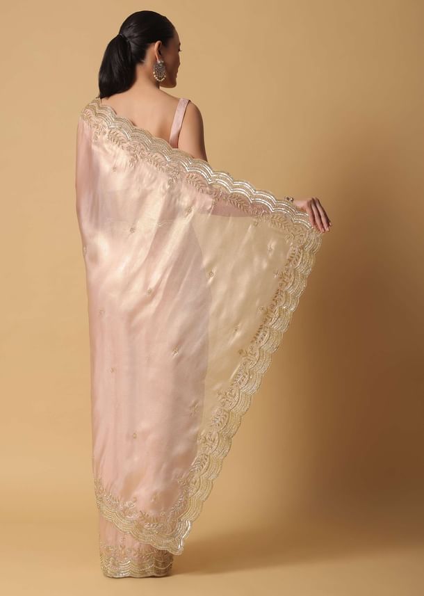 Peach Tissue Saree With Cut Dana Embroidered Borders