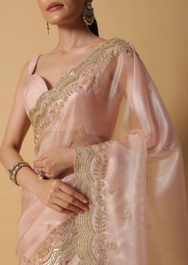 Peach Tissue Saree With Cut Dana Embroidered Borders