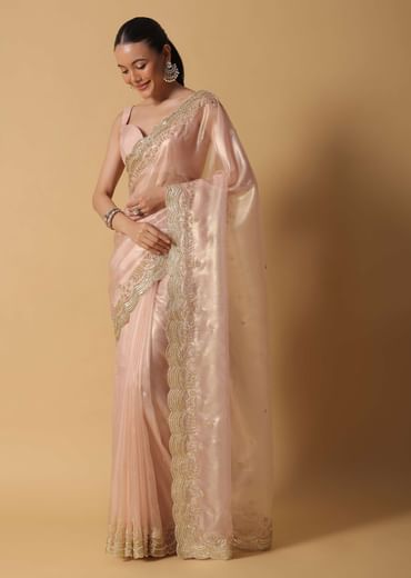 Peach Tissue Saree With Cut Dana Embroidered Borders