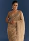 Golden Beige Organza Tissue Saree With Cut Dana And Stone Embellishments