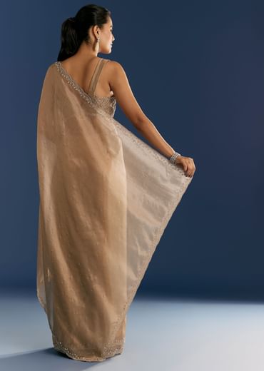 Golden Beige Organza Tissue Saree With Cut Dana And Stone Embellishments