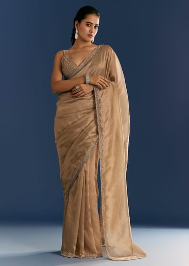 Golden Beige Organza Tissue Saree With Cut Dana And Stone Embellishments