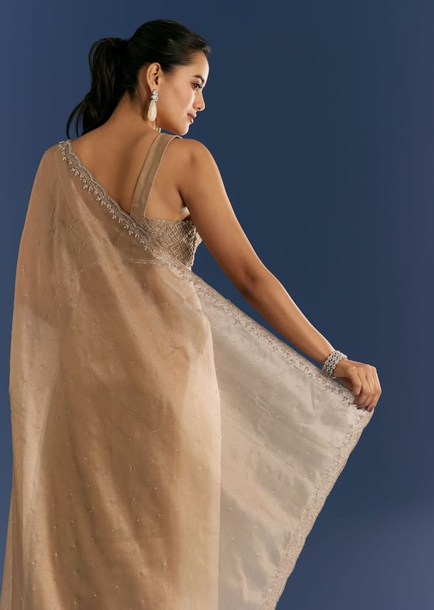 Golden Beige Organza Tissue Saree With Cut Dana And Stone Embellishments
