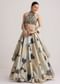 Grey And Gold Net Embroidered Lehenga Set