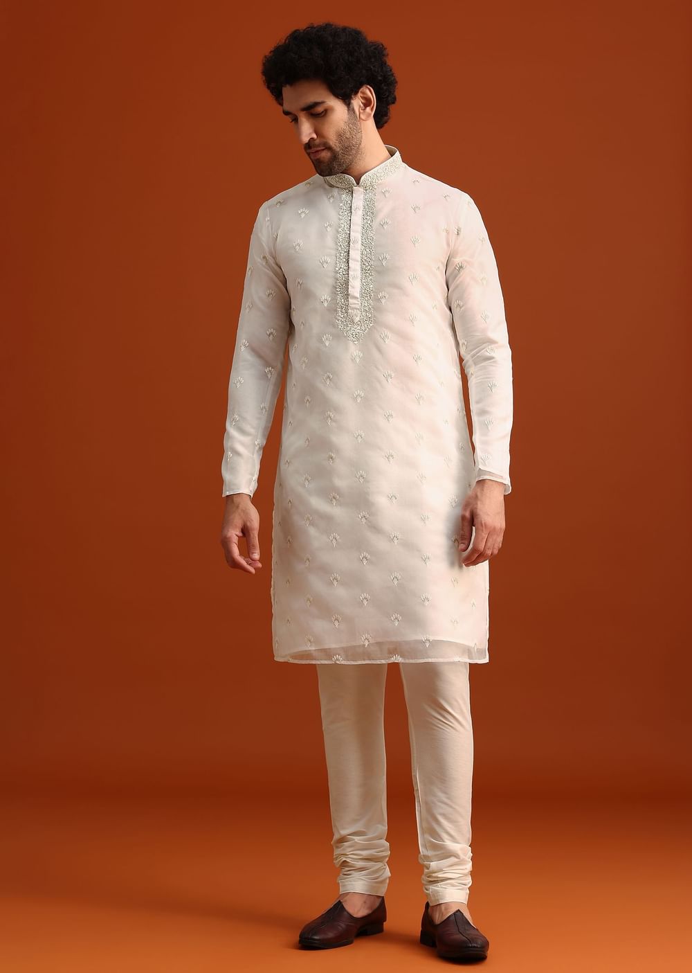 Ivory Organza Zari Embroidered Kurta Set With Butti Work
