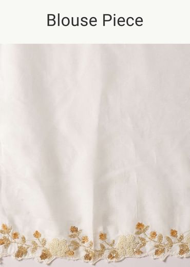 Ivory White Organza Saree With Cut Dana Embroidered Borders