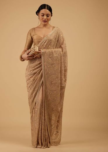Beige Brown Saree Kashmiri Embroidered In Georgette