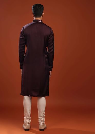 Grape Purple Wine Festive Kurta In Mini Silk With A Cocktail Look