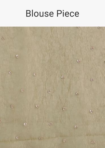 Light Green Glossy Crushed Tissue Saree With Cutdana Sequins Embroidery And Scallop Border