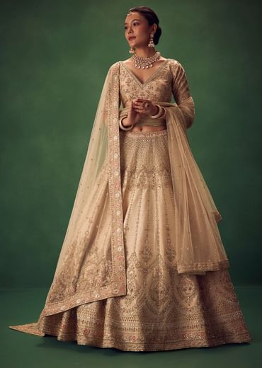 Light Gold Hand Embroidered Lehenga Set