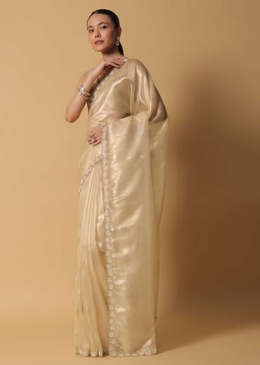 Light Gold Toned Saree In Tissue With Cut Dana Embroidered Borders