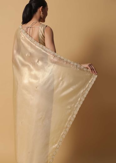 Light Gold Toned Saree In Tissue With Cut Dana Embroidered Borders