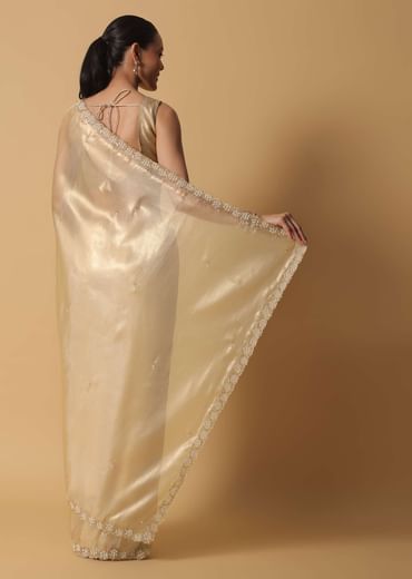 Light Gold Toned Saree In Tissue With Cut Dana Embroidered Borders
