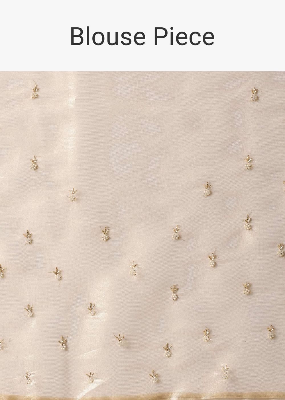 Light Gold Toned Saree In Tissue With Cut Dana Embroidered Borders