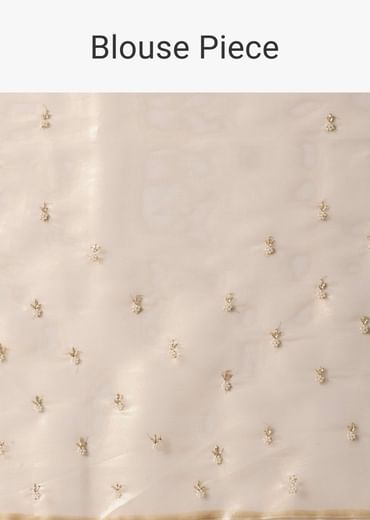 Light Gold Toned Saree In Tissue With Cut Dana Embroidered Borders