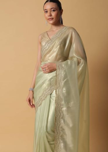 Light Green Foil Saree In Tissue With Cut Dana Embroidered Borders