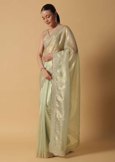 Light Green Foil Saree In Tissue With Cut Dana Embroidered Borders