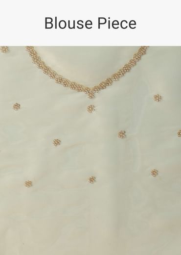 Light Green Foil Saree In Tissue With Cut Dana Embroidered Borders