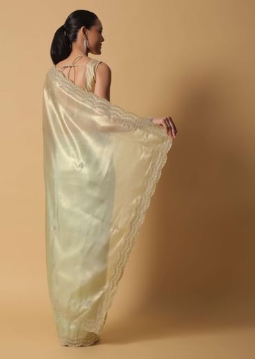 Light Green Foil Saree In Tissue With Cut Dana Embroidered Borders