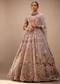 Light Pink Lehenga Set With A Choli In Moti Embroidery, Crop Top Comes In Half Sleeves With Cut Work
