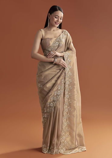 Mauve Tissue Saree With Scallop Border And Stone Embroidery