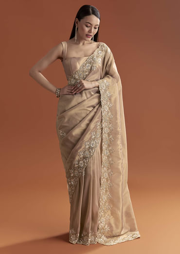 Mauve Tissue Saree With Scallop Border And Stone Embroidery