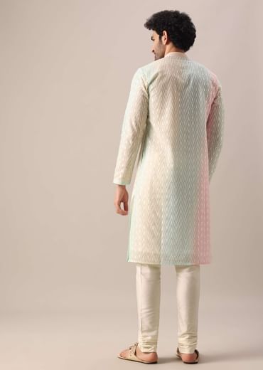Multi Color Lucknowi Kurta Set With Sequin Work