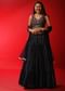 Navy Blue Lehenga Choli With Sequins Stripes And Multi Colored Resham Work