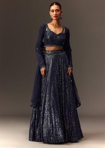 Navy Blue Tie Up Blouse And Embroidered Lehenga With Detailed Border Dupatta