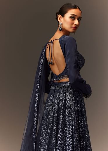 Navy Blue Tie Up Blouse And Embroidered Lehenga With Detailed Border Dupatta