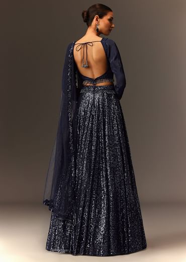 Navy Blue Tie Up Blouse And Embroidered Lehenga With Detailed Border Dupatta