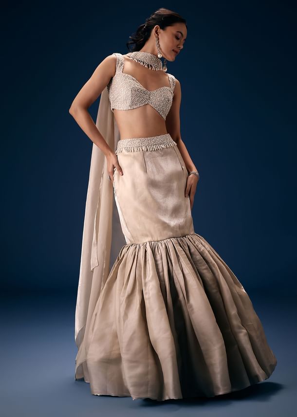 Off White Blouse With Fishcut Lehenga And Choker Dupatta